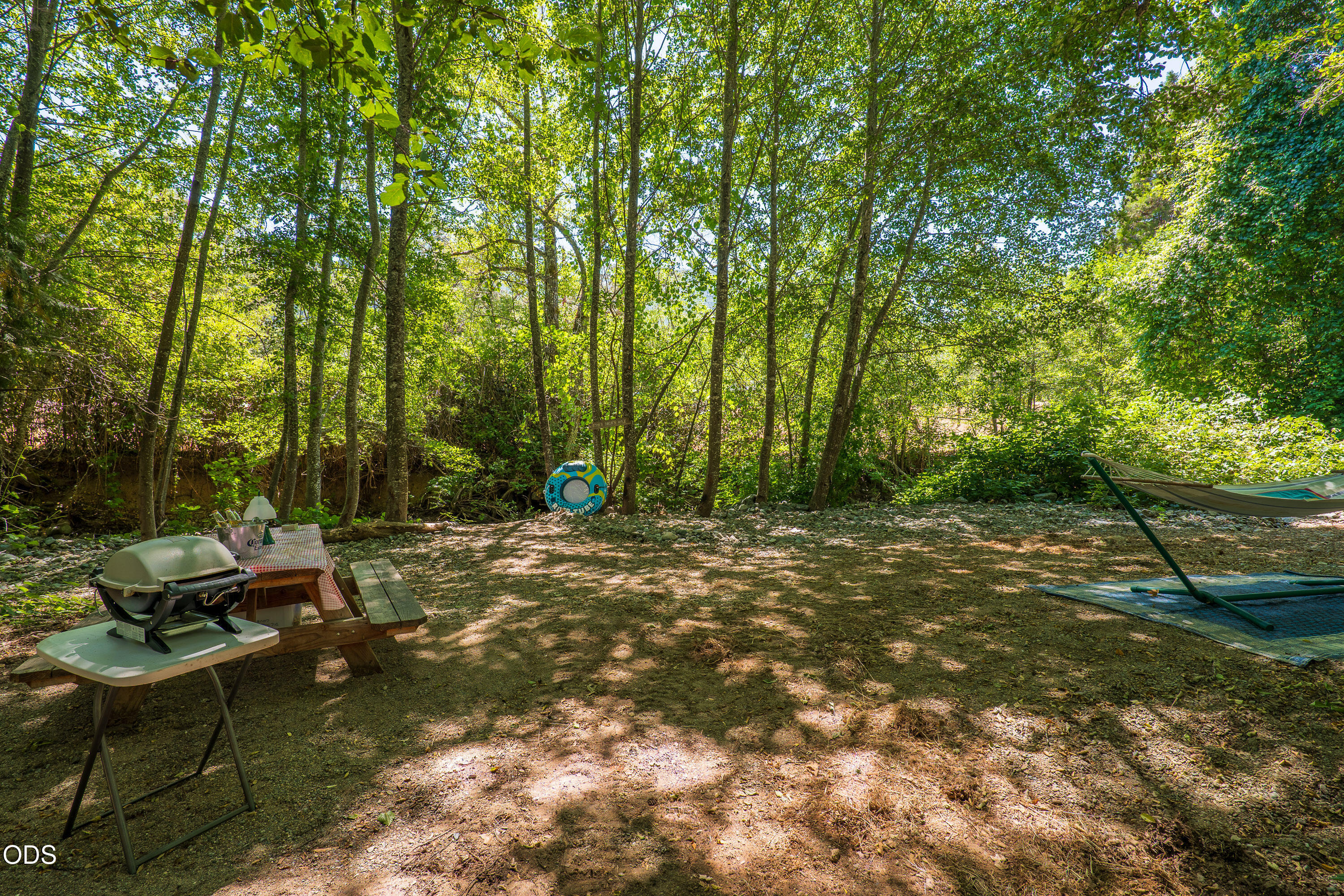 3959 Jumpoff Joe Creek Road
