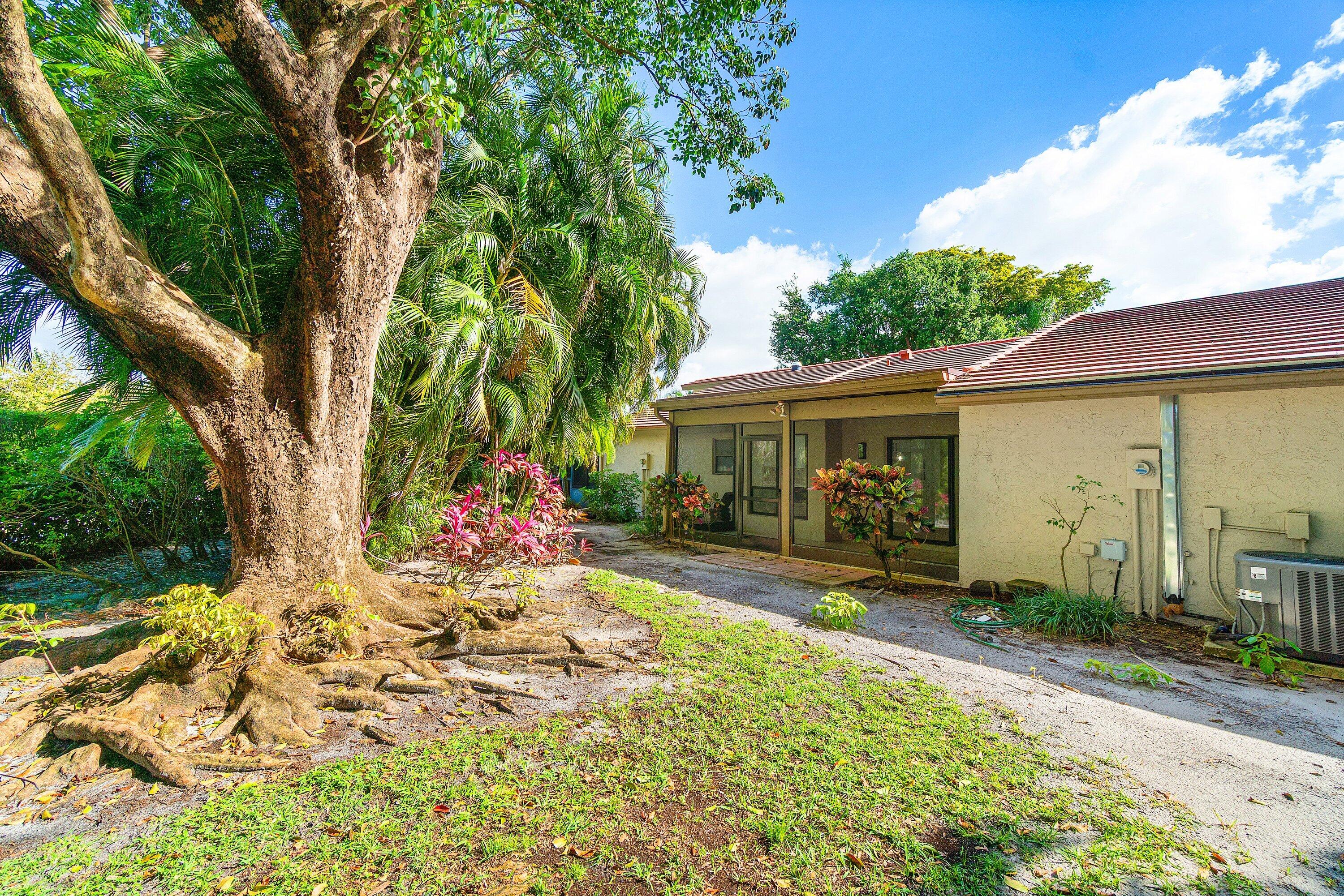 5944 Forest Grove Drive 3