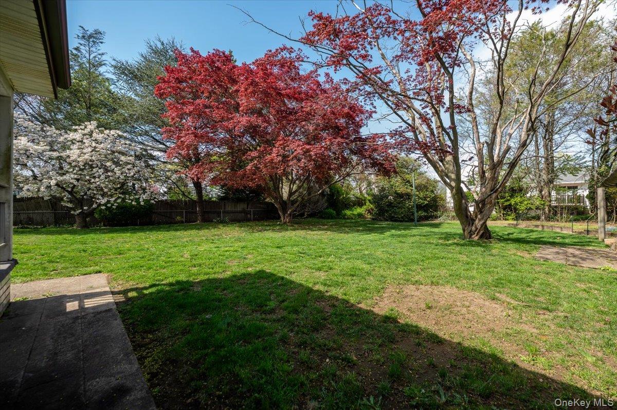 167 Maple Avenue