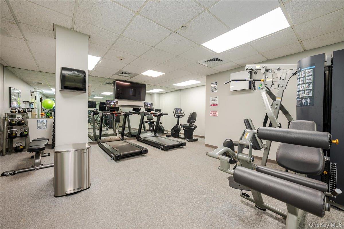 185 W Park Avenue Unit: 201