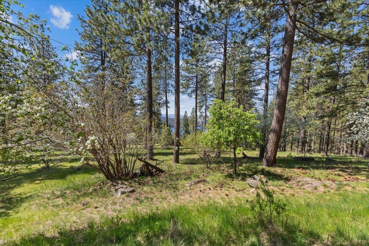 1228 S Greenridge Dr