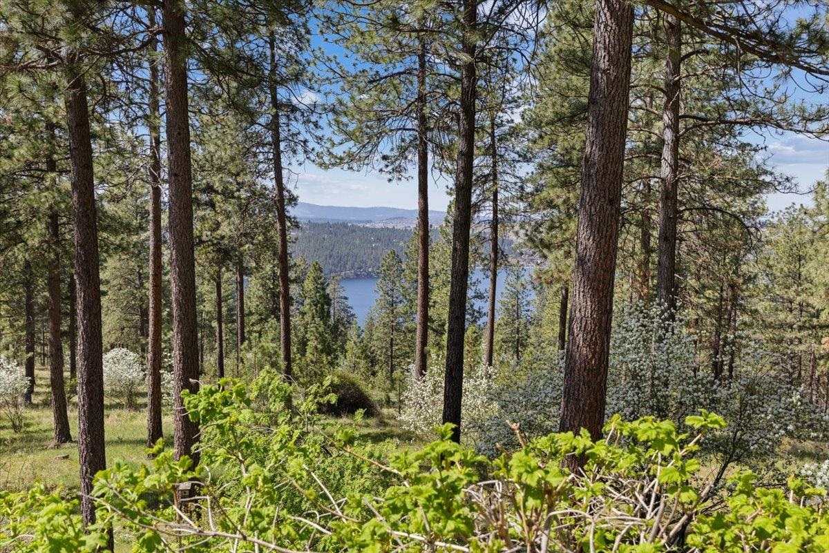 1228 S Greenridge Dr