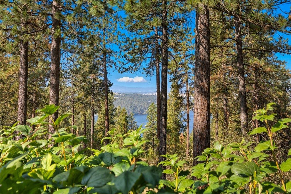 1228 S Greenridge Dr