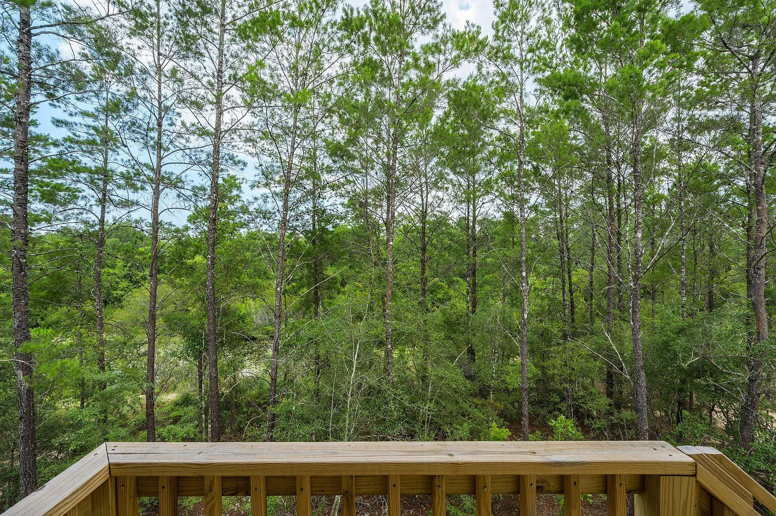 177 Hammock Oaks Boulevard