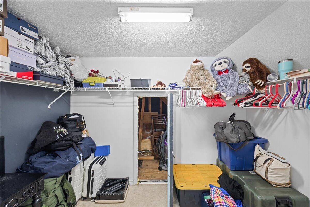 1176 Lost Trail