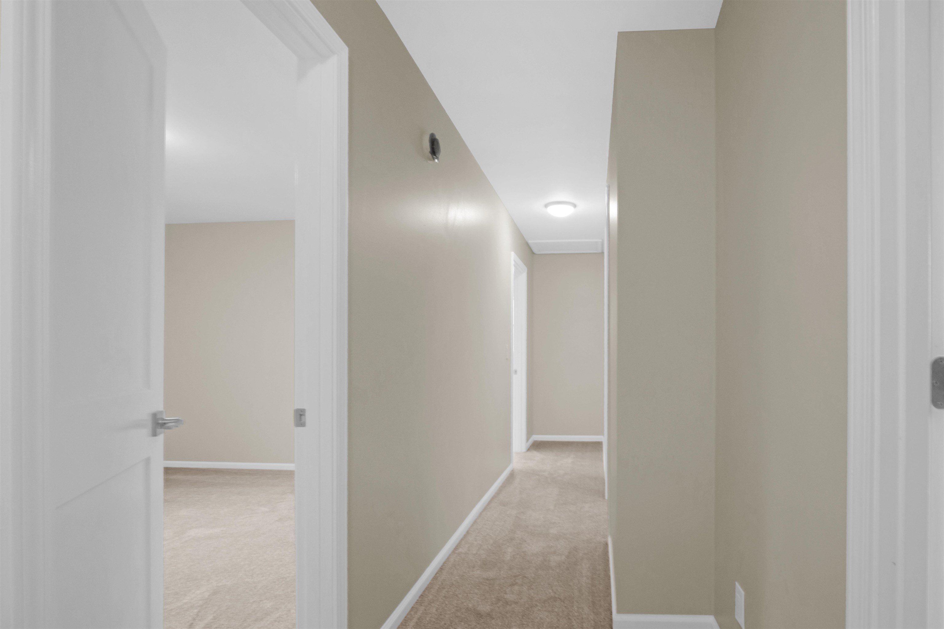 7079 Cleon Drive