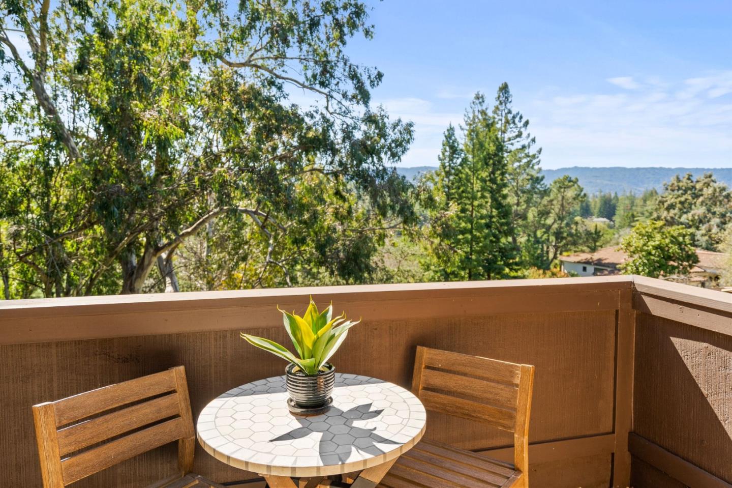 1 Alexis CT