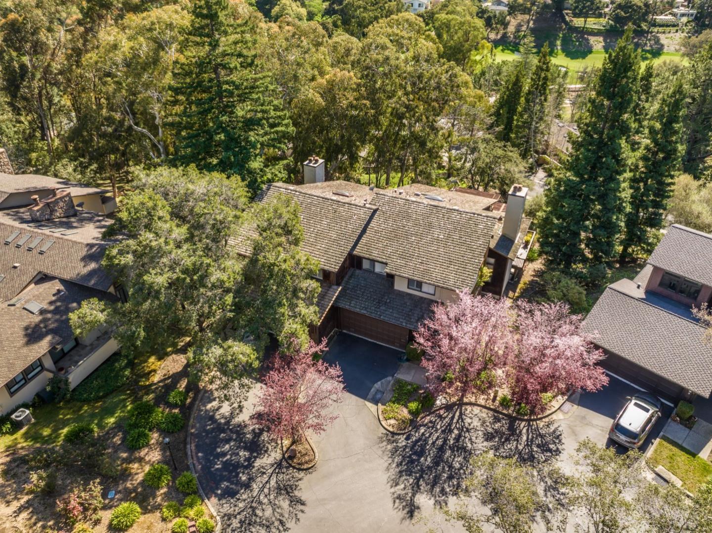 1 Alexis CT