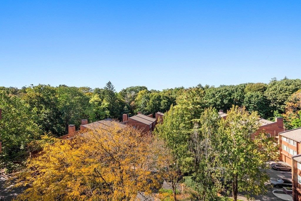 241 Perkins Street # C605