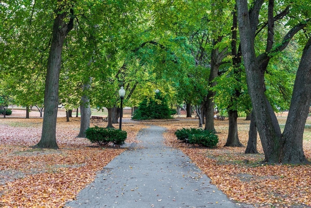 15 Thatcher # 1 Unit: F1-1