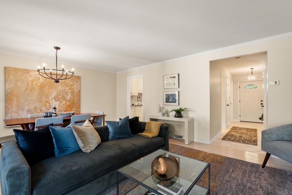 160 Pine Street # 12