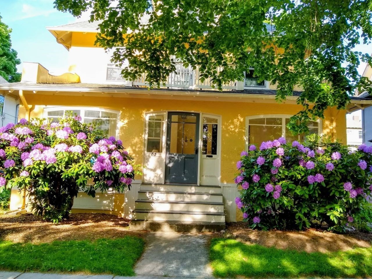 Yellow two-story home with purple flowering shrubs flanking the front steps and entrance.
