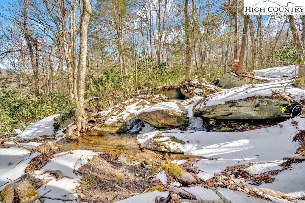 Lot 41 Mossy Creek Court