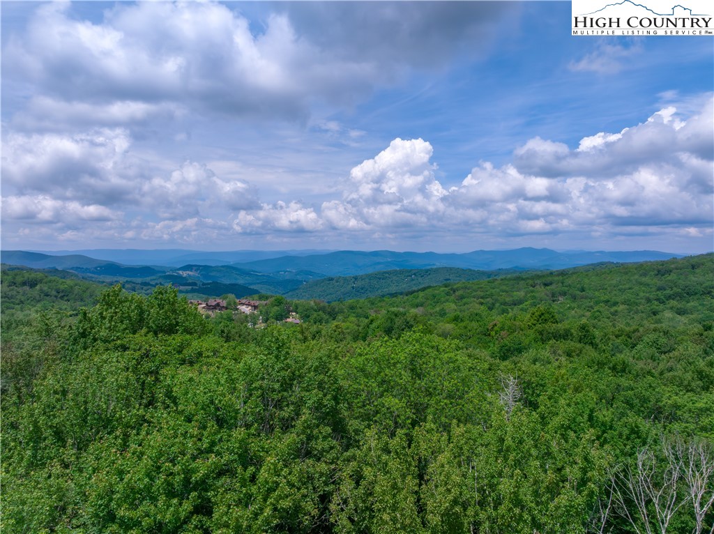 576 Eagle Springs Trail
