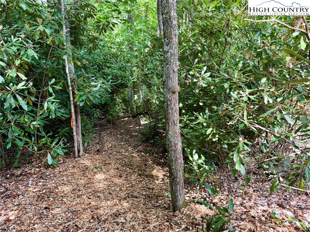 Lot 39 Mossy Creek Court