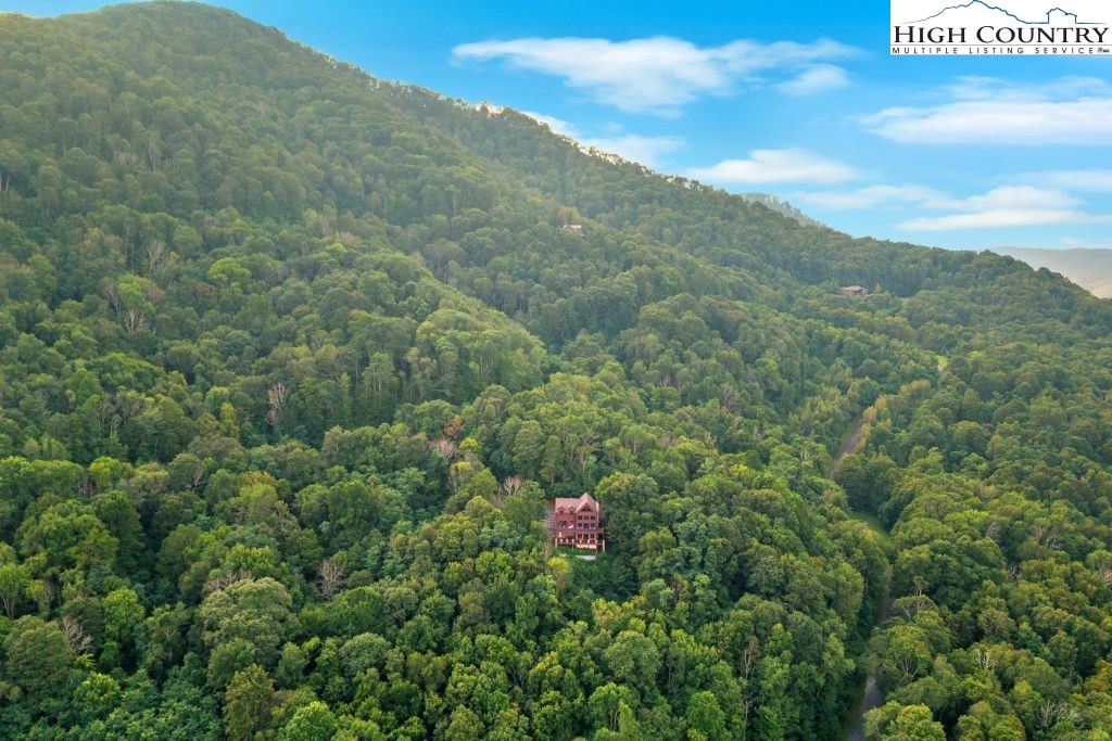409 Jewelweed Trail