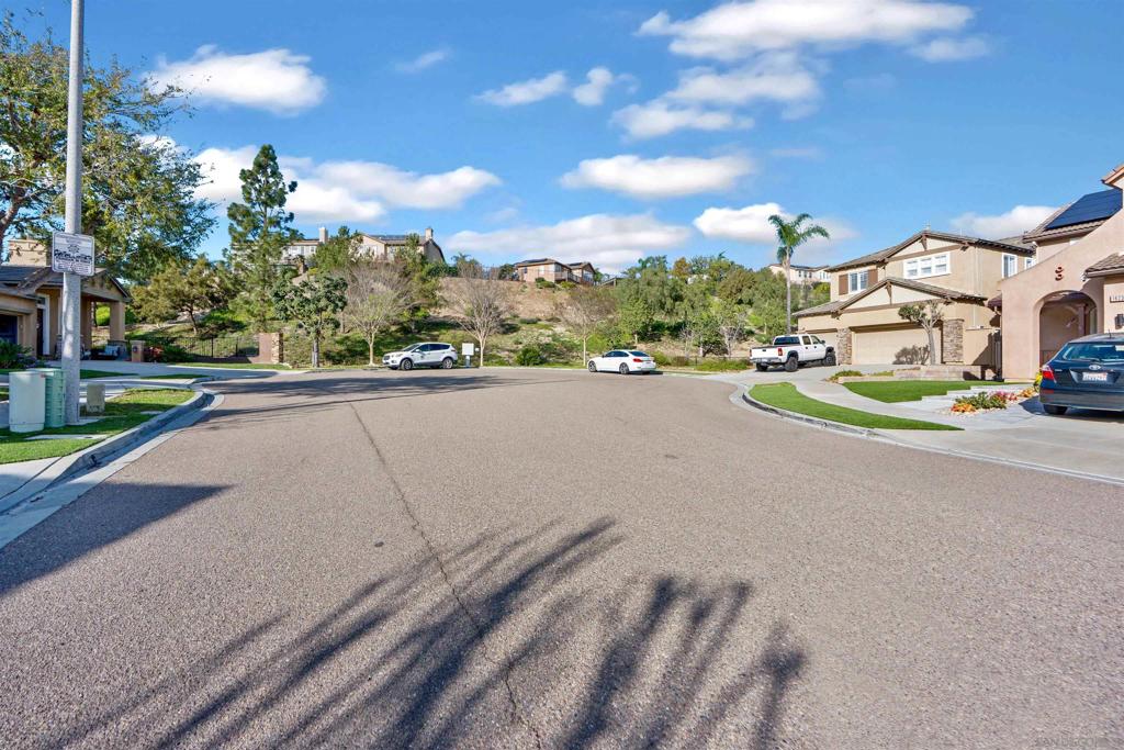 16220 PALOMINO MESA CT