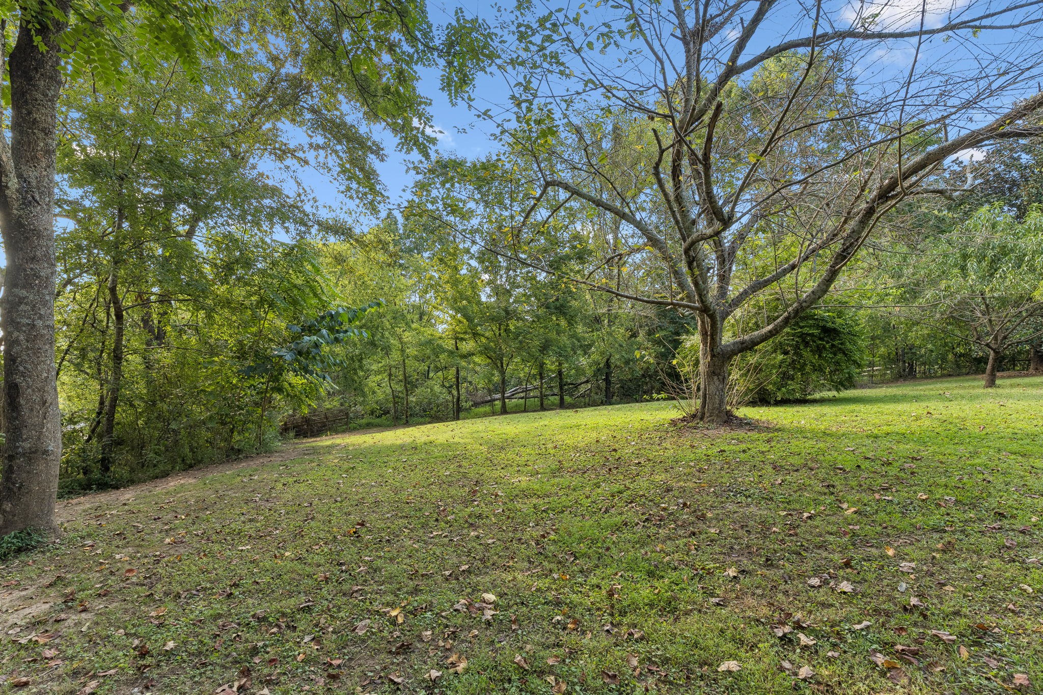 629 Blue Ridge Dr
