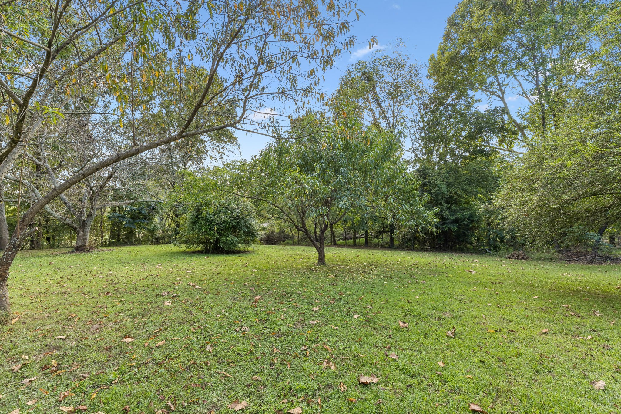 629 Blue Ridge Dr