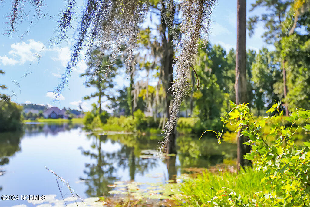 1014 Little Egret Run