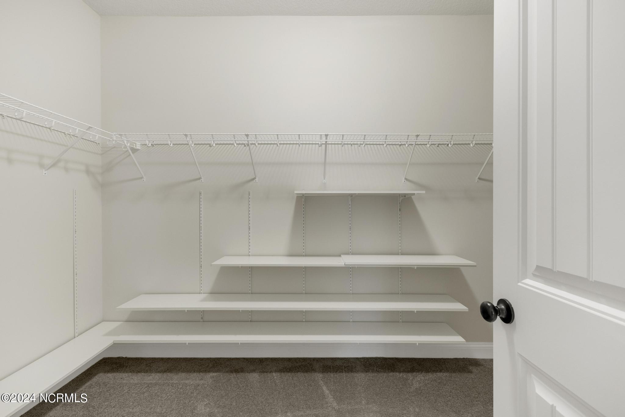 247 Royal Tern Drive