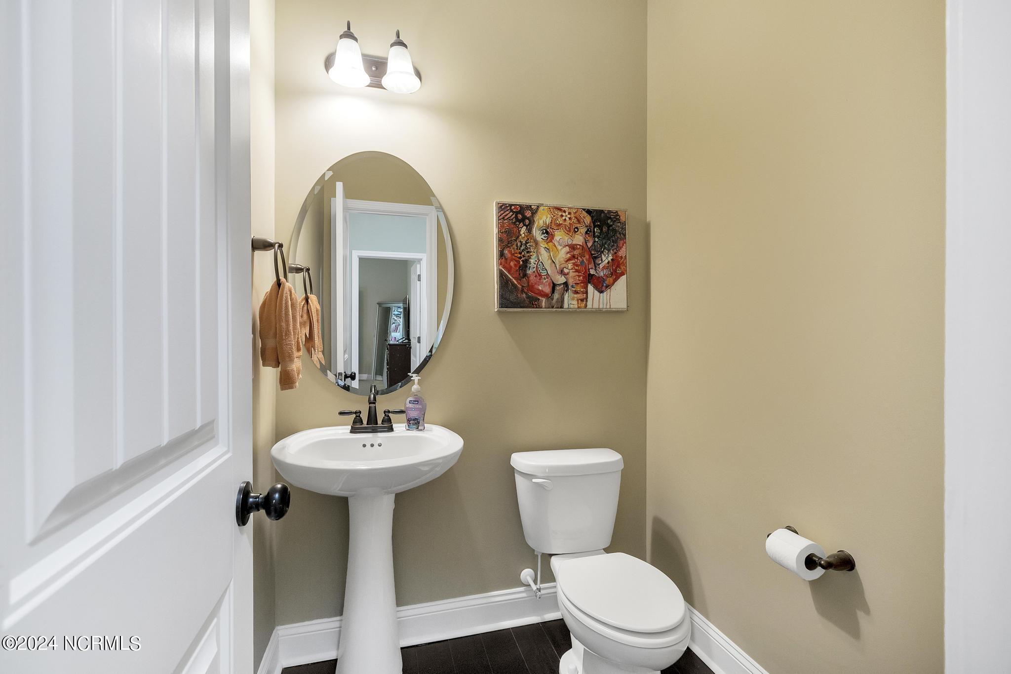 247 Royal Tern Drive