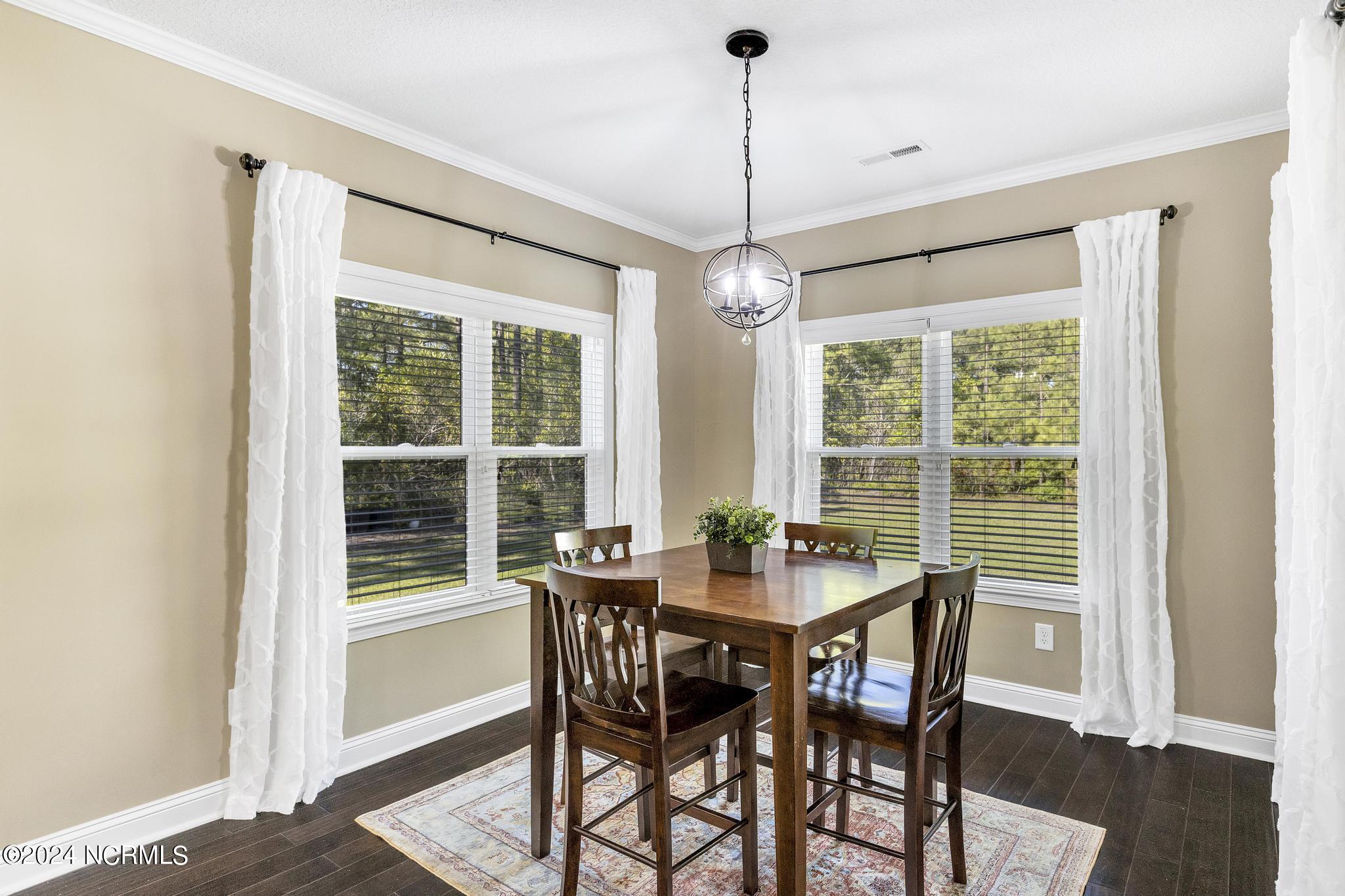 247 Royal Tern Drive