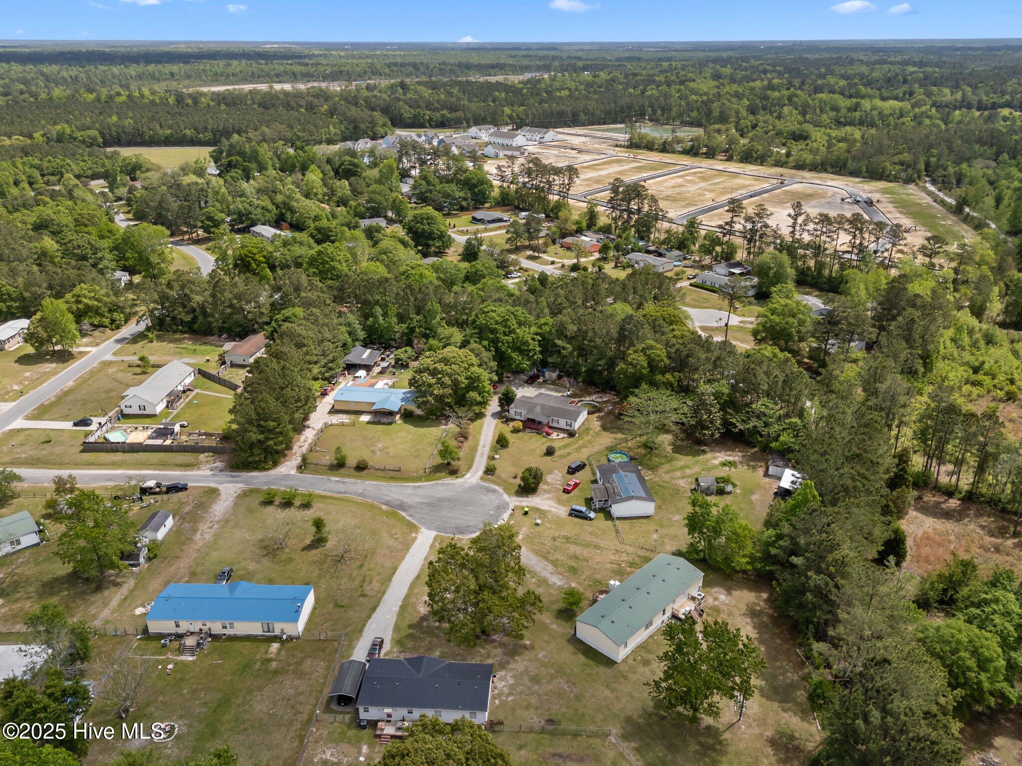 2951 Lone Tree Court