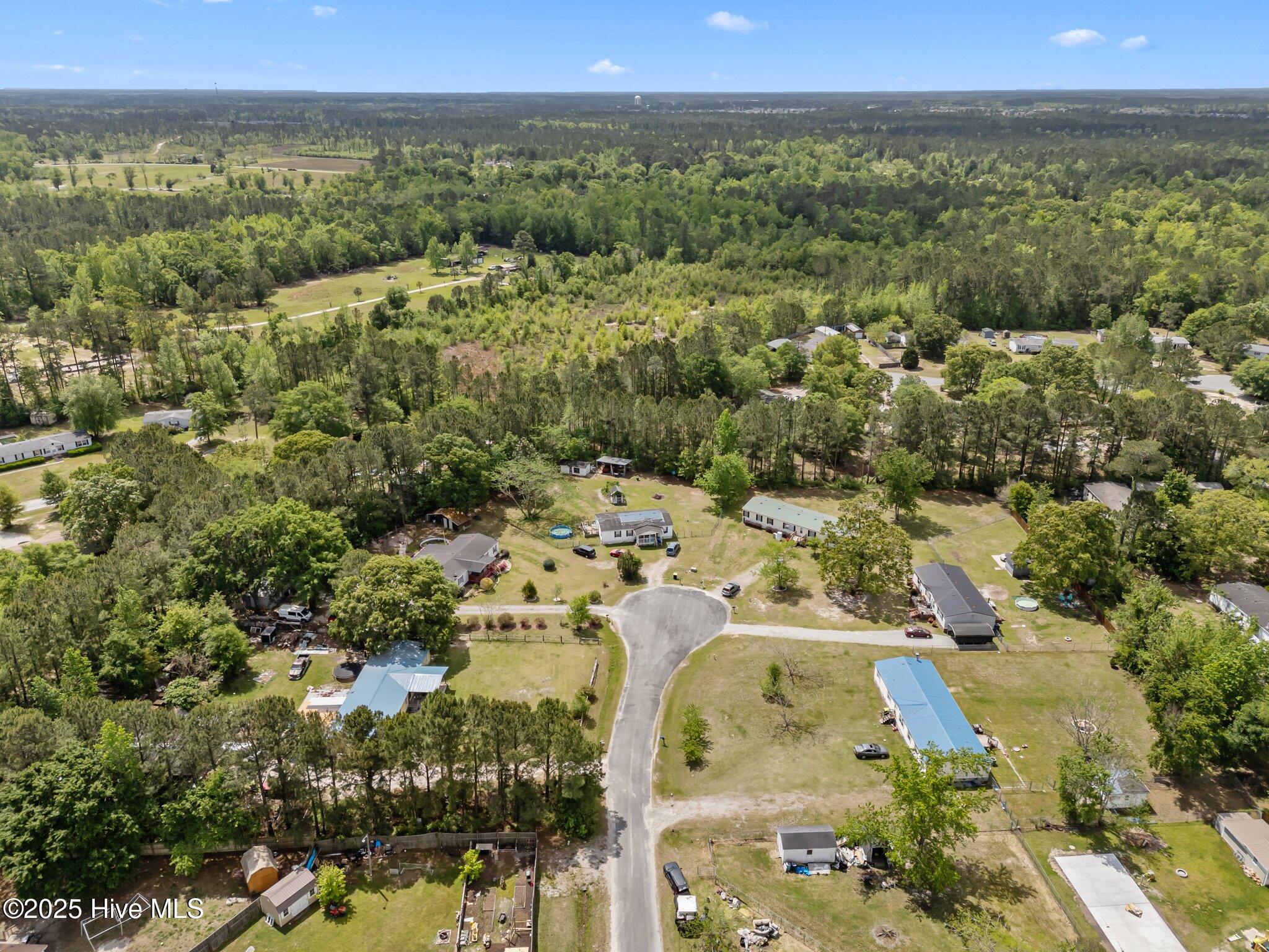 2951 Lone Tree Court