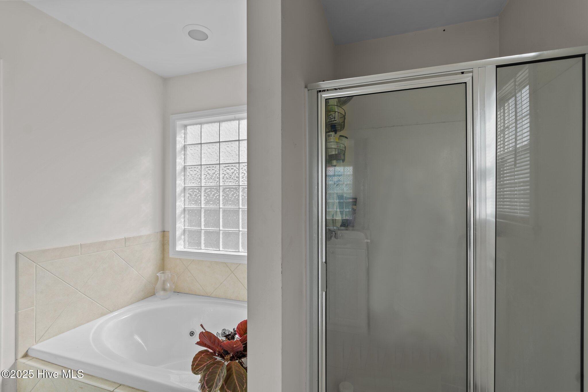 7306 Charred Pine Drive