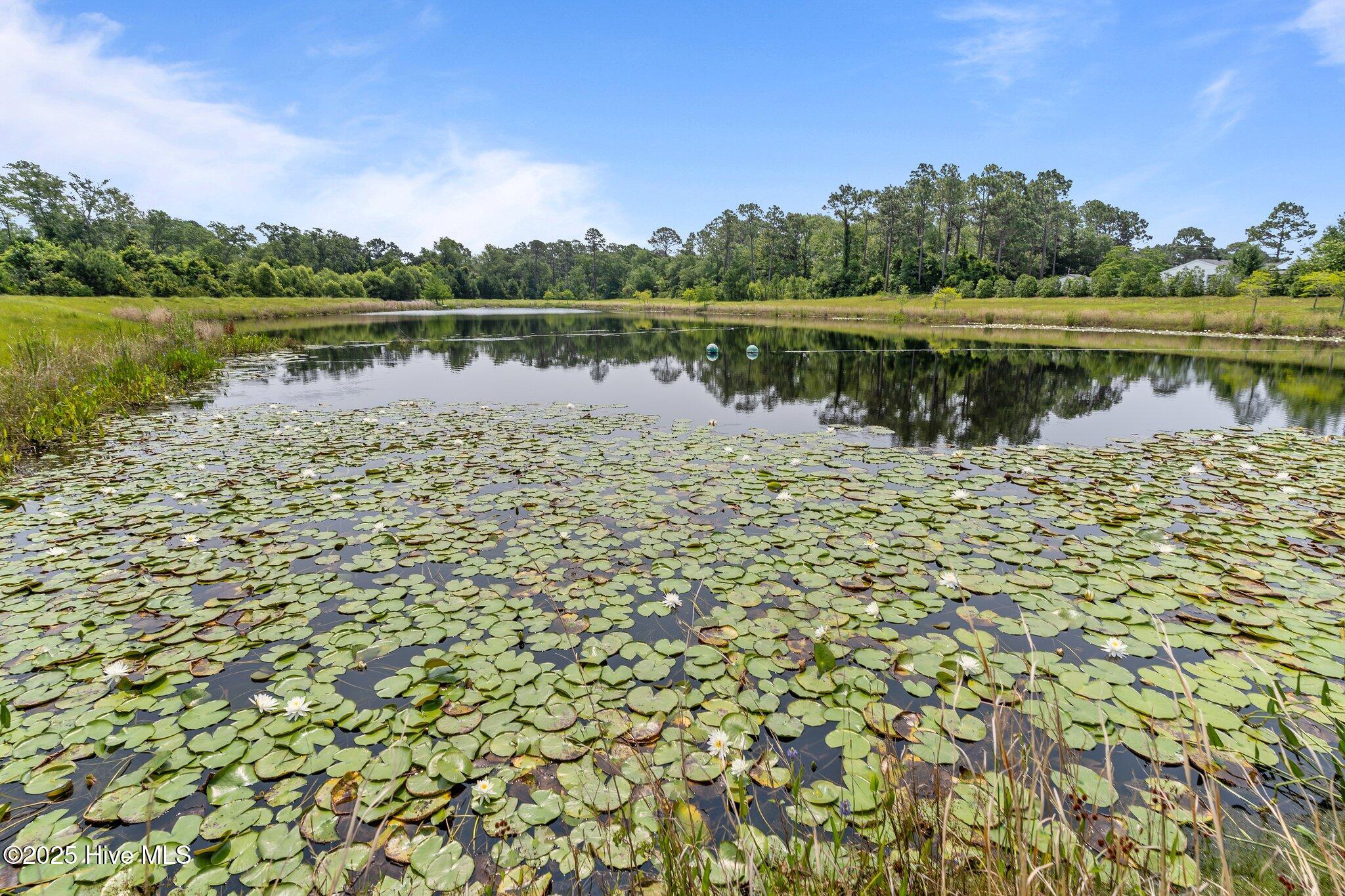 2169 Whiskey Branch Drive