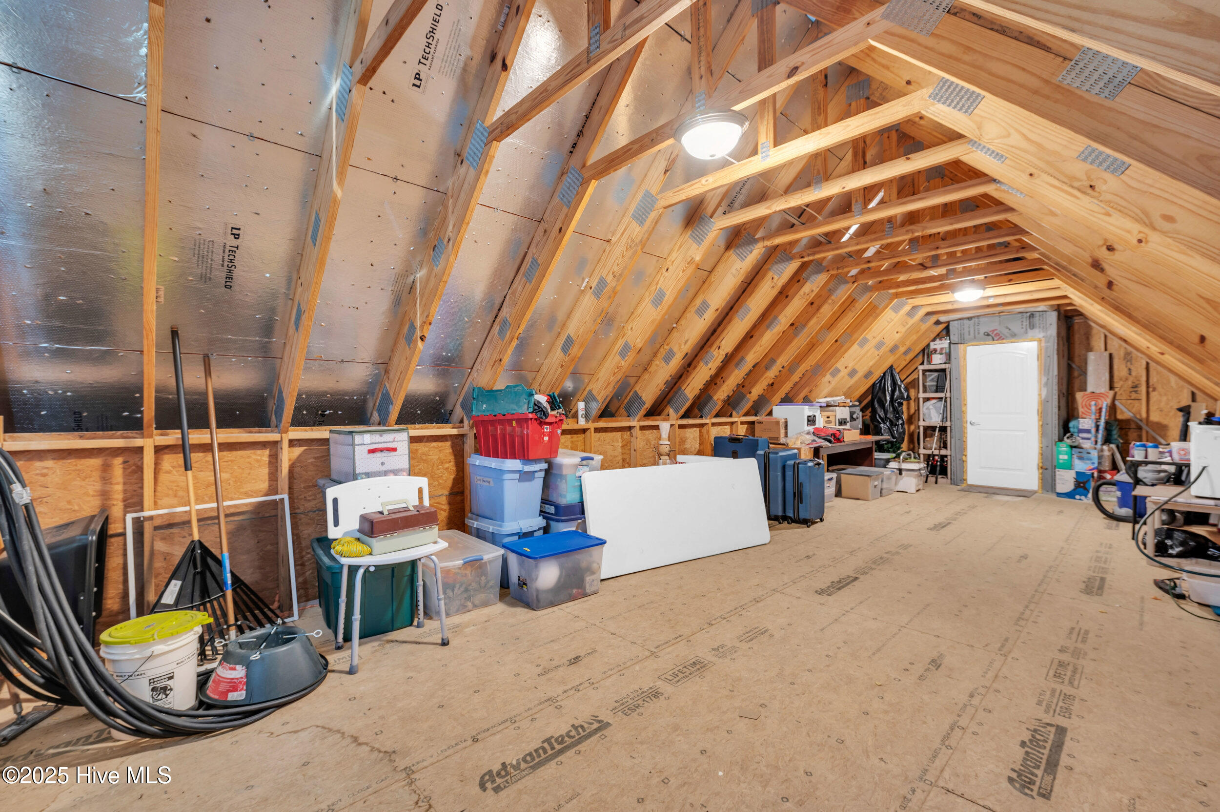 224 Summernights Way