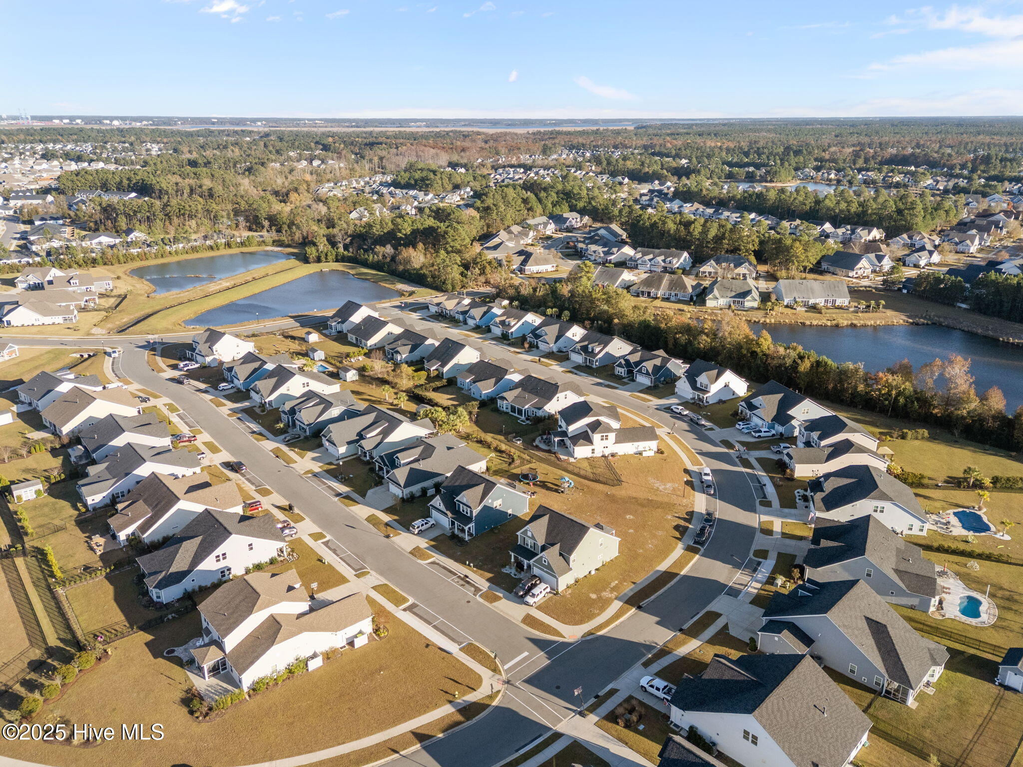 2305 Jasper Forest Trail