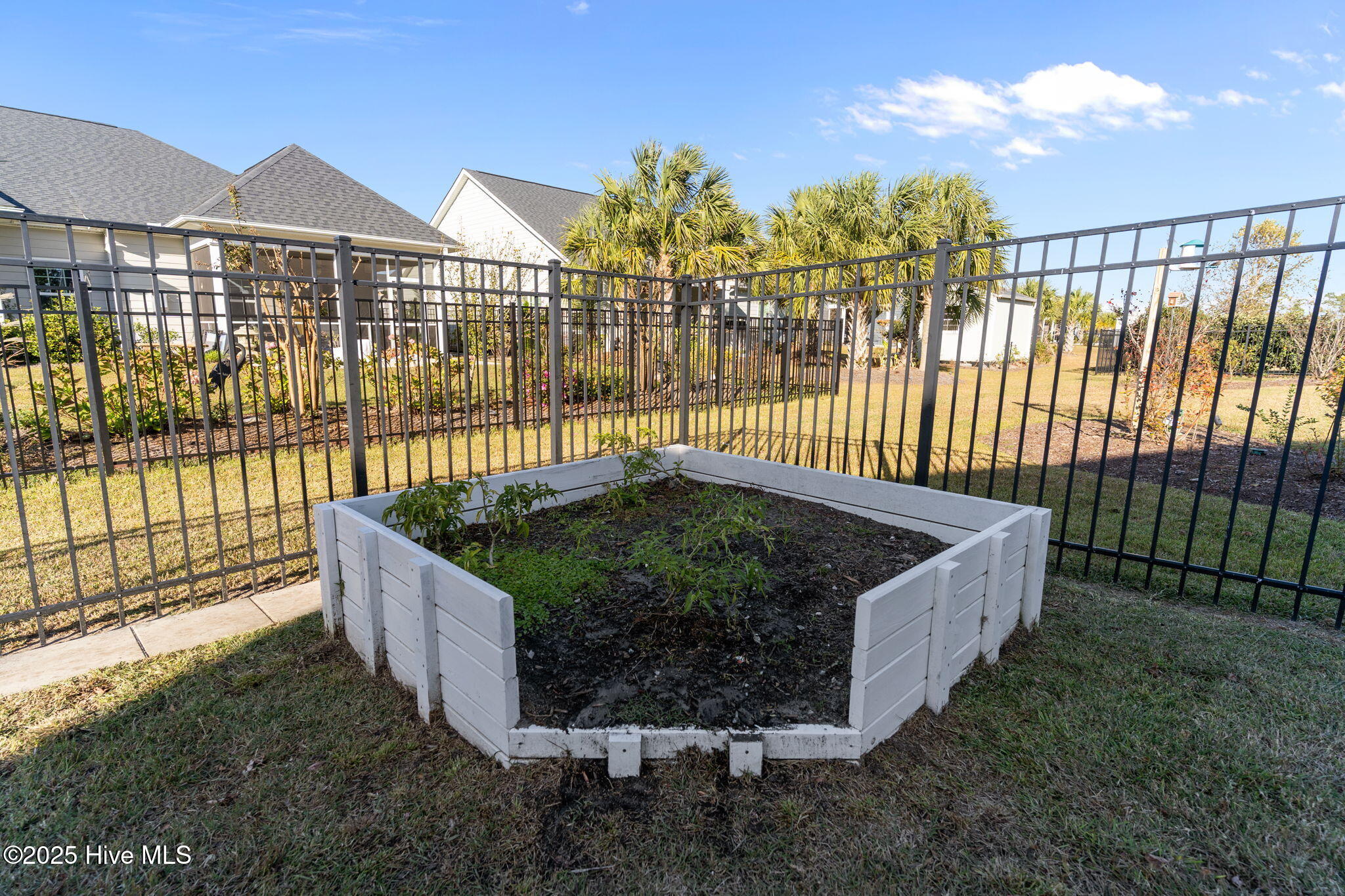 2305 Jasper Forest Trail