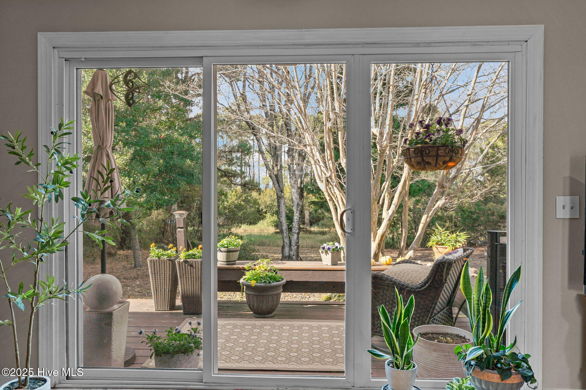 202 Frederica Court