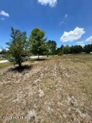 3971/3975 Sourwood Court NE
