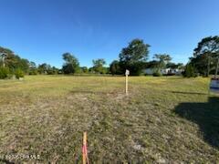 3971/3975 Sourwood Court NE