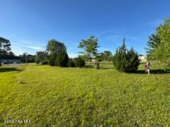 3971/3975 Sourwood Court NE