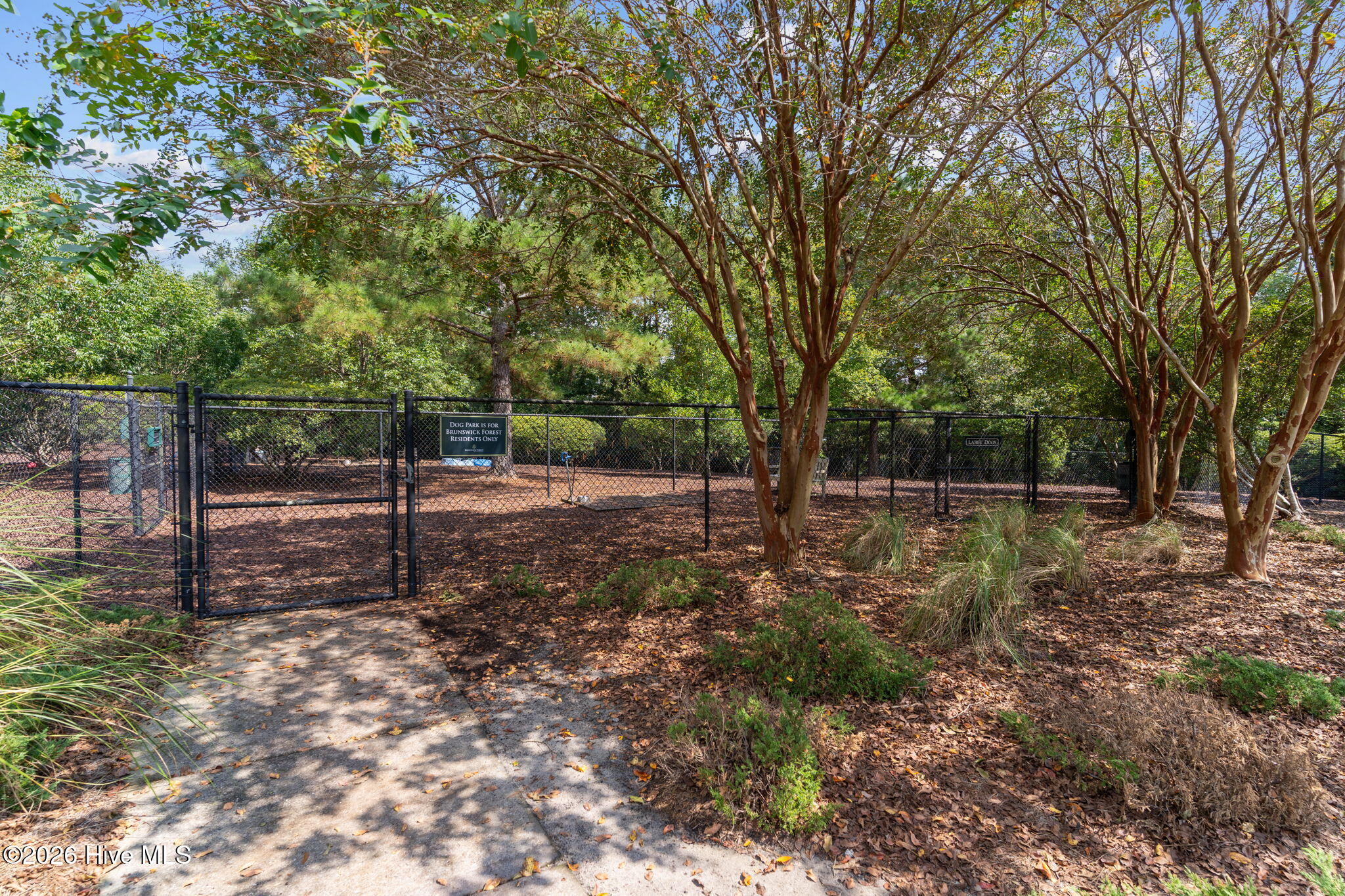 2029 Colony Pines Drive