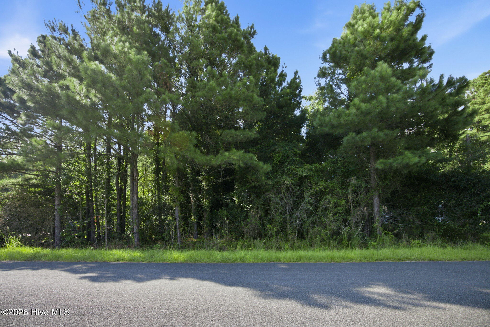 704 Gordon Lewis Drive SE