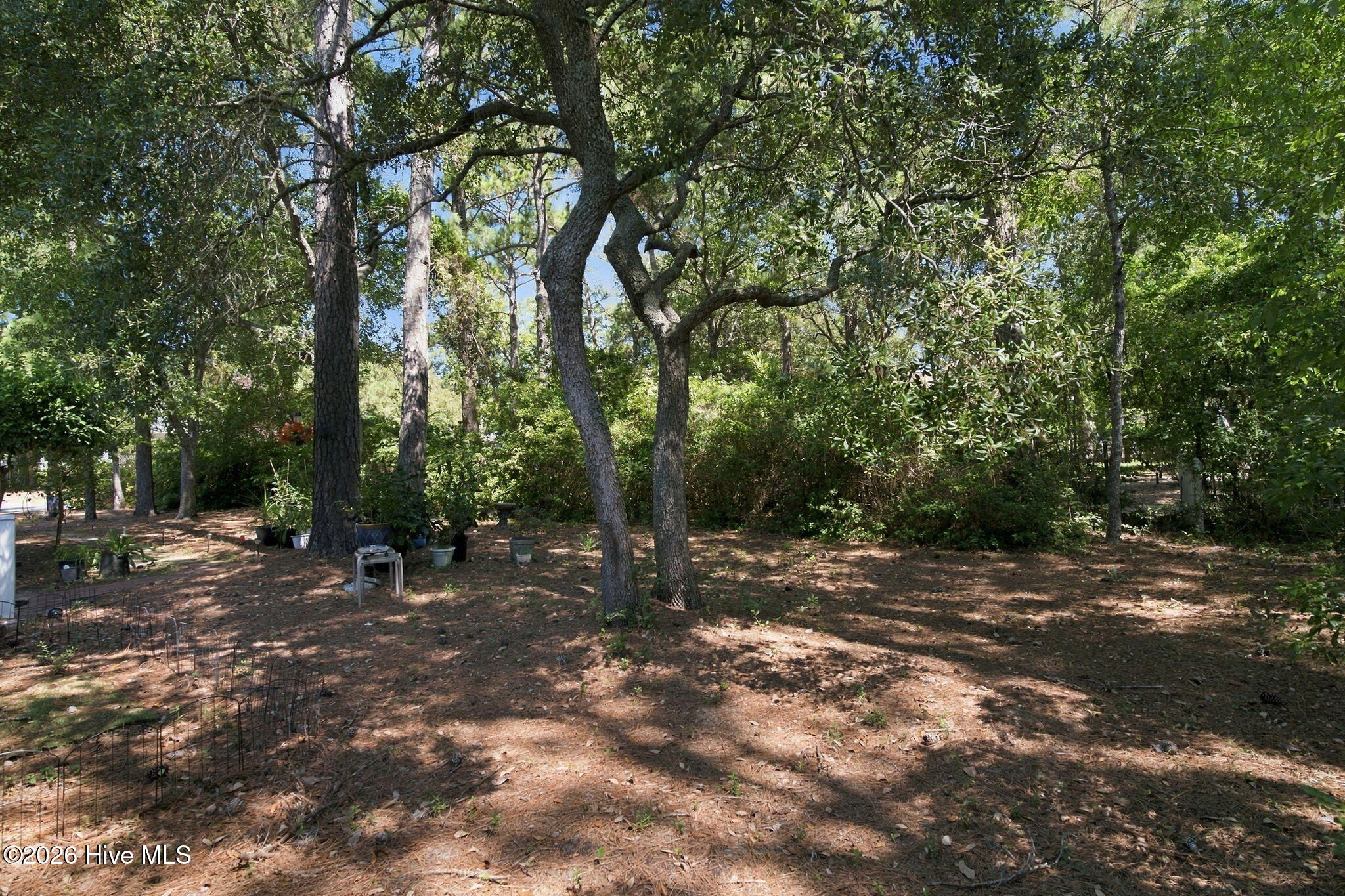 4404 Dragonfly Court SE