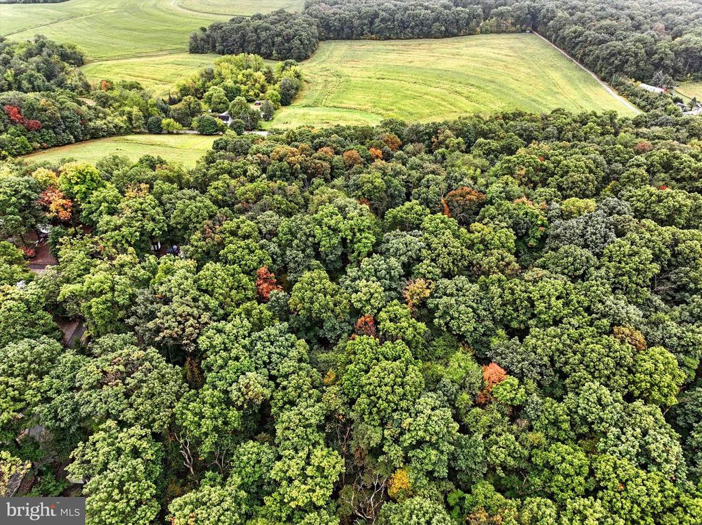 Lot 6, 2061 BURKHOLDER ROAD