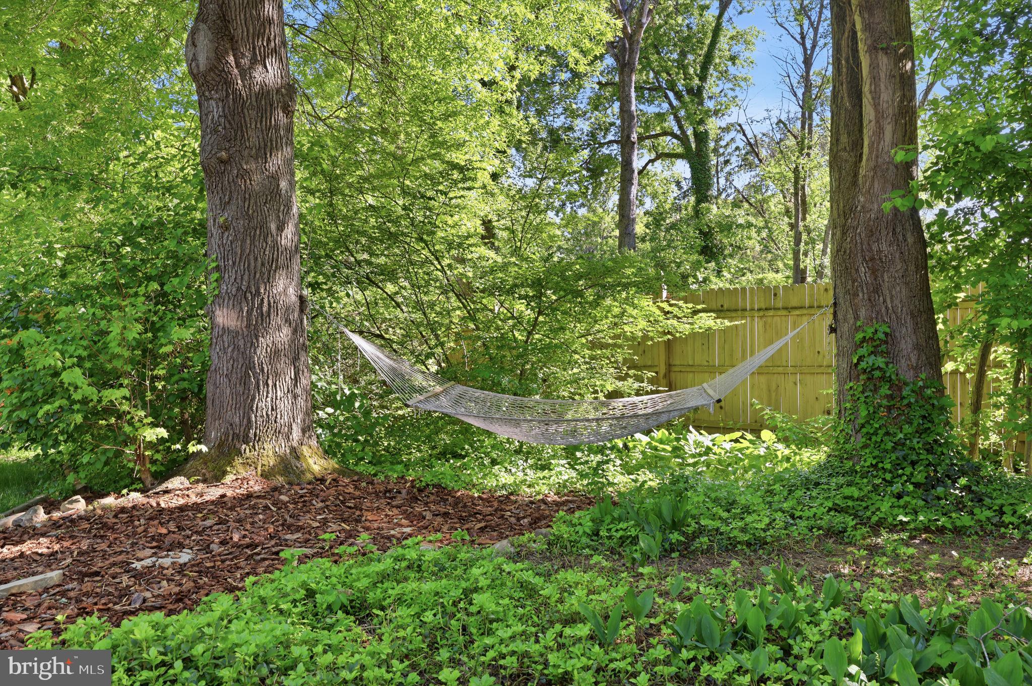 207 W FERRY ROAD