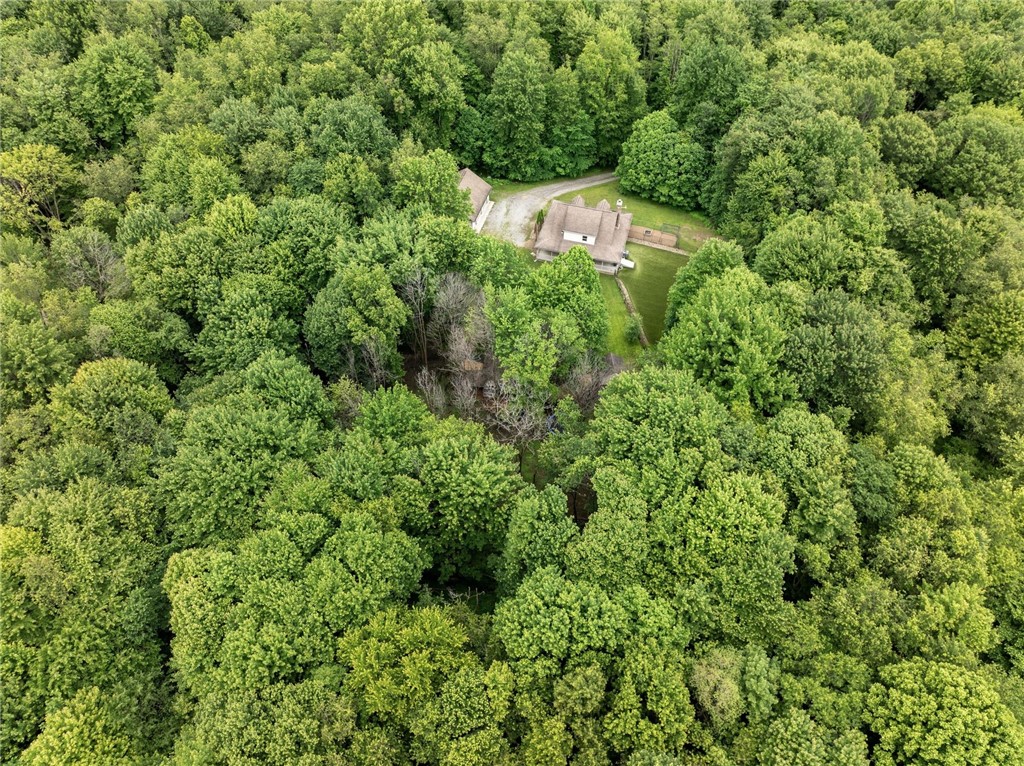 29 Cherry Tree Lane