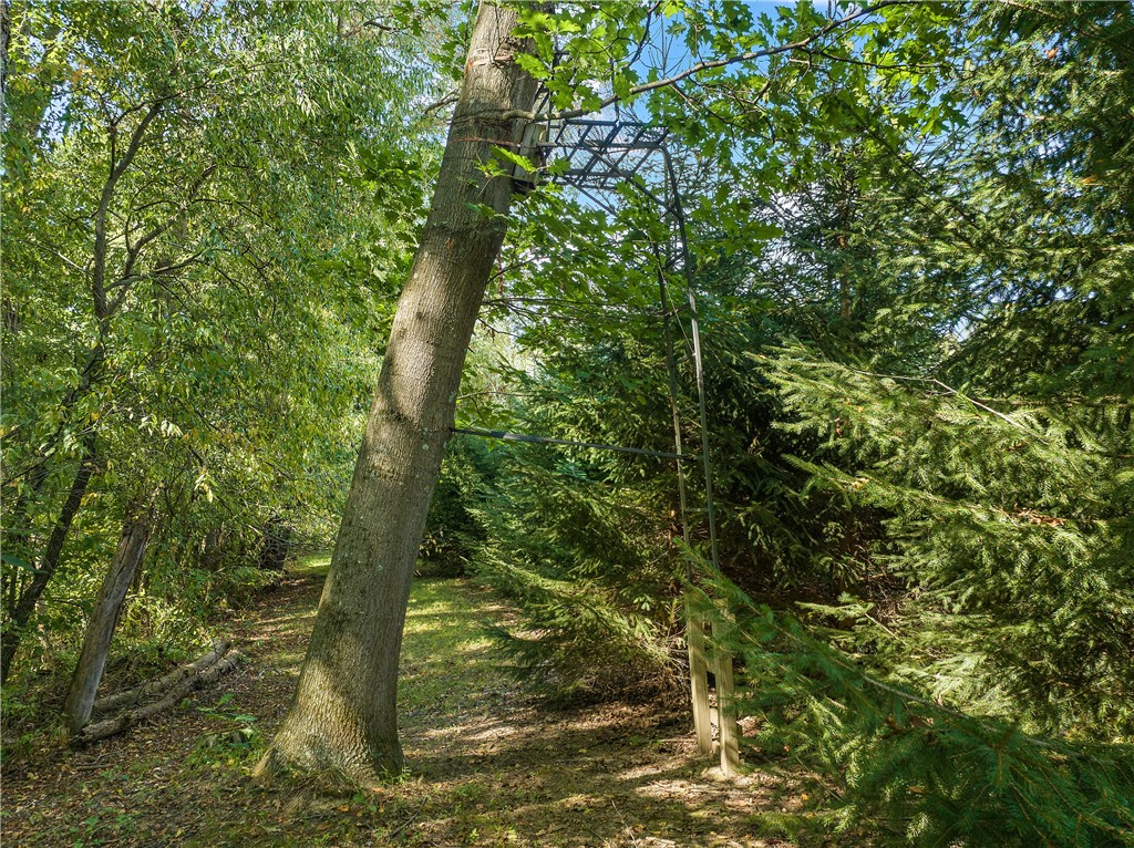 49 Babcock Rd