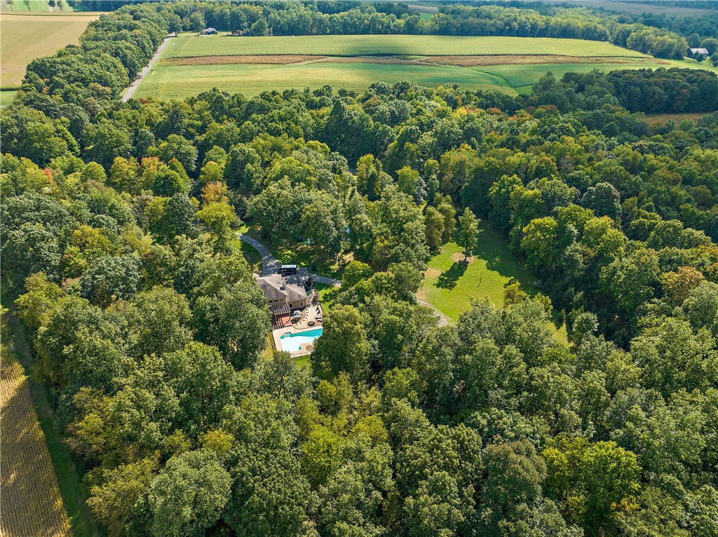 49 Babcock Rd