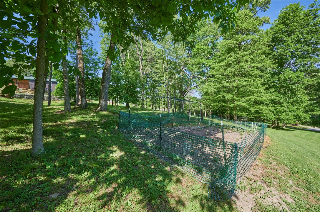 483 Pony Farm Rd