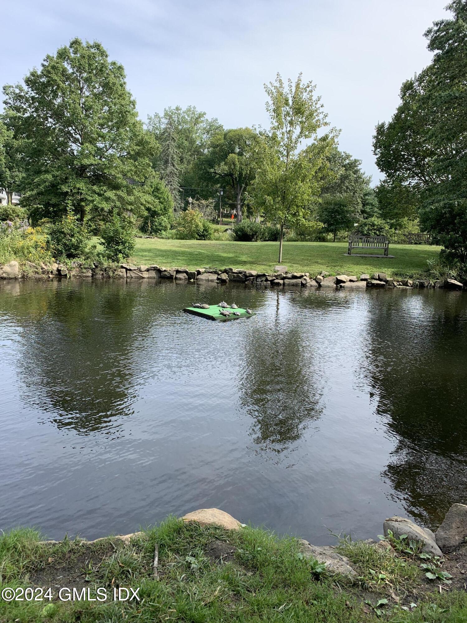 51 Forest Avenue, 56