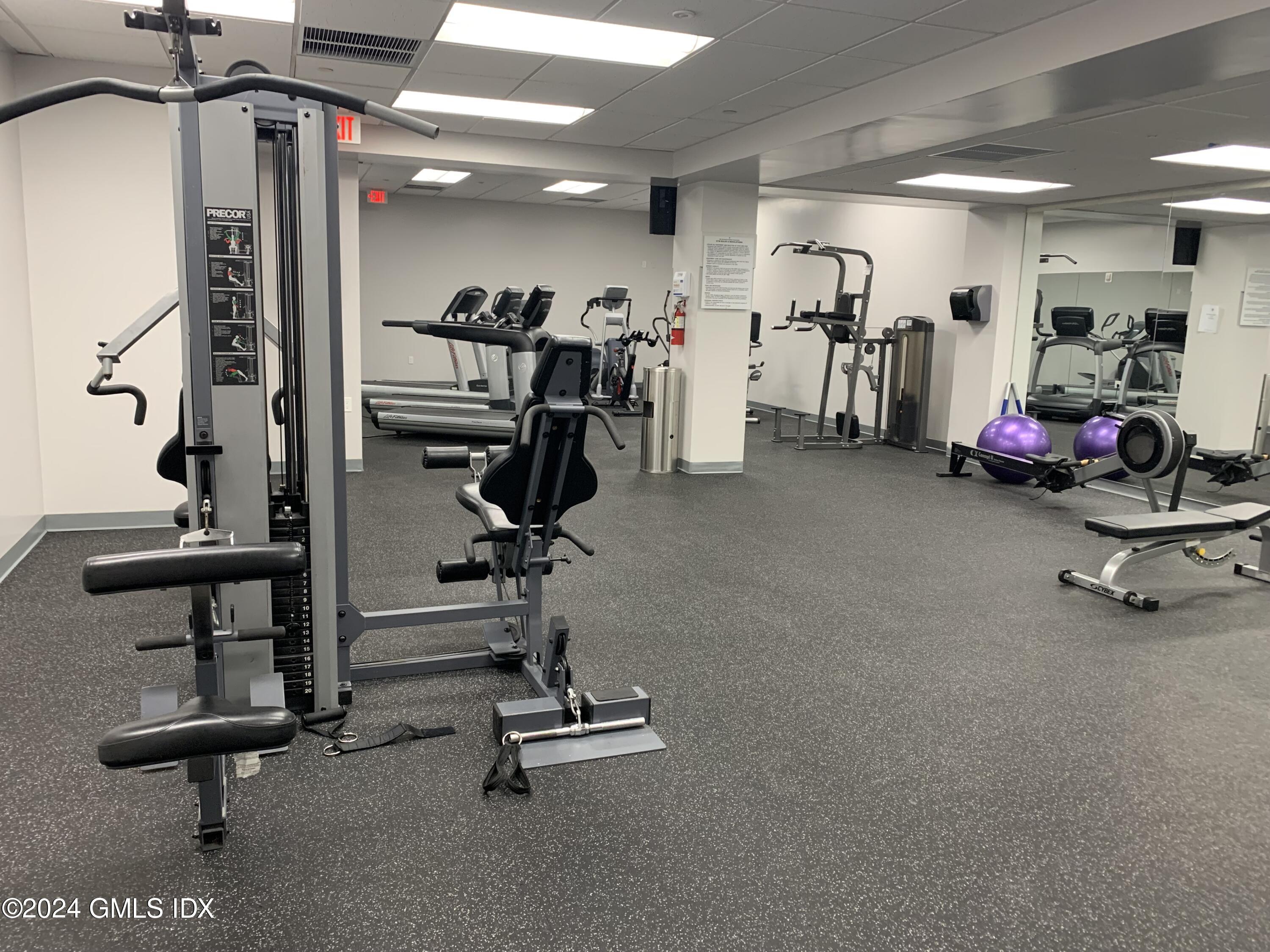 51 Forest Avenue, 56