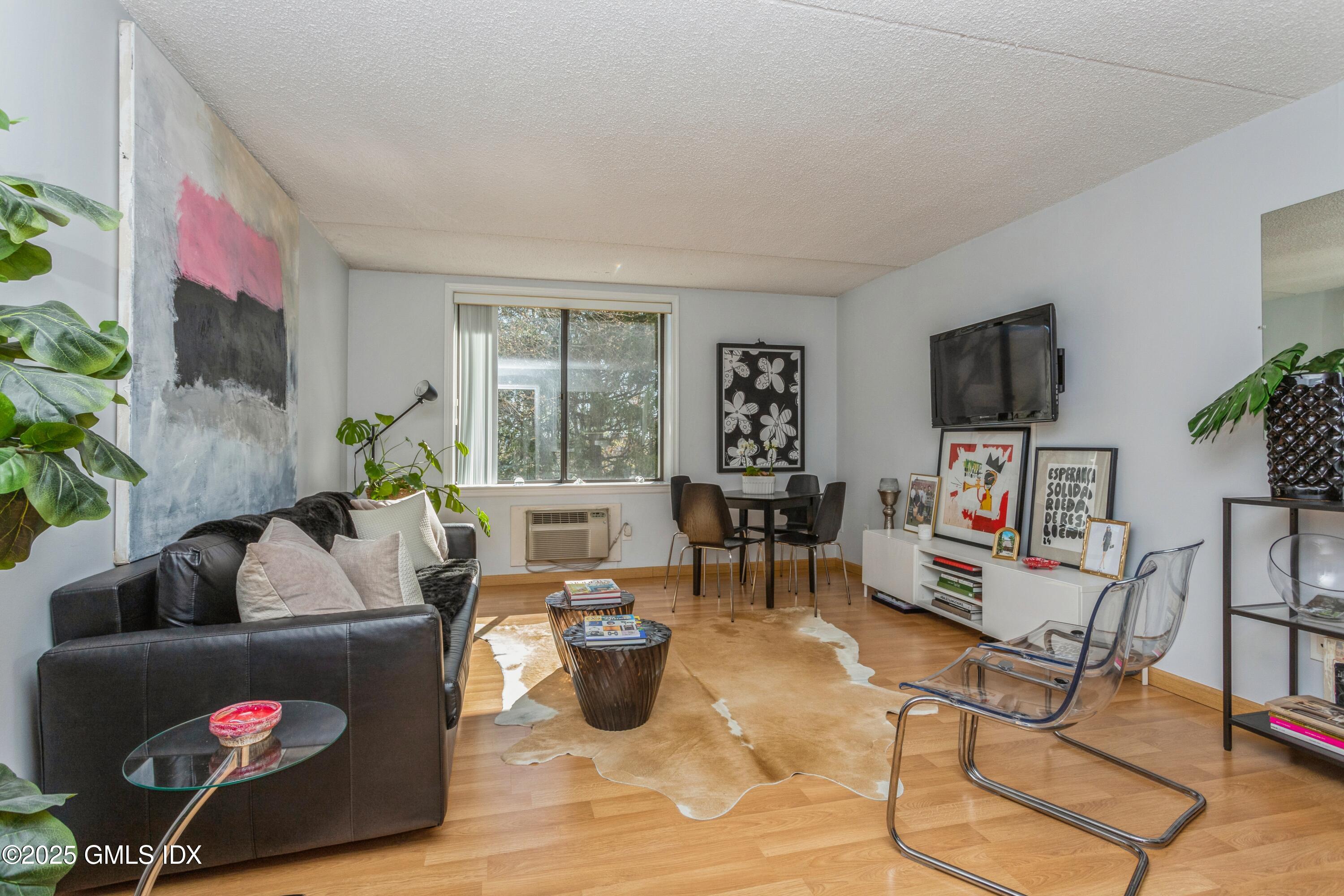 1525 E Putnam Avenue, 303